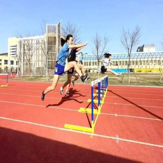 从数据视角解析乒乓球冠军竞争格局的深层动态